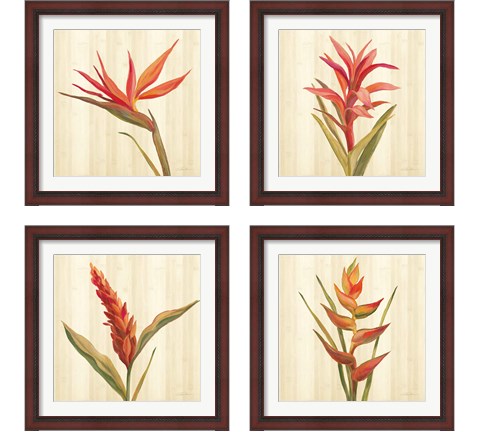 Tropical Garden 4 Piece Framed Art Print Set by Silvia Vassileva