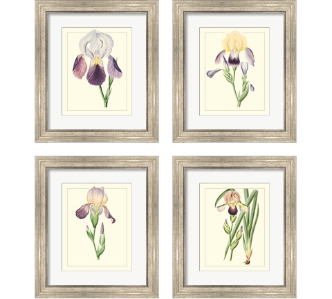 Purple Irises 4 Piece Framed Art Print Set