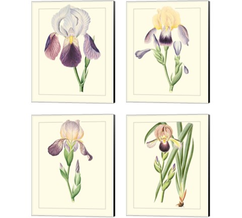 Purple Irises 4 Piece Canvas Print Set