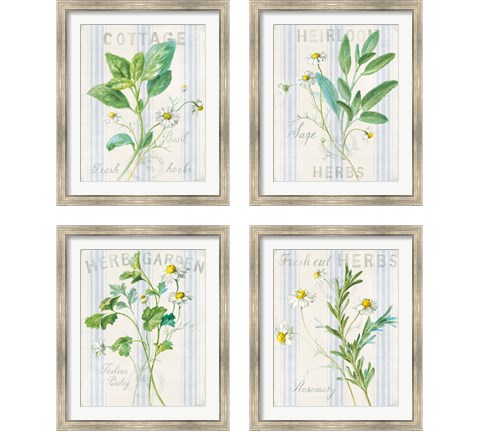 Floursack Herbs 4 Piece Framed Art Print Set by Danhui Nai