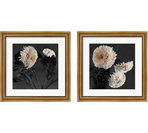 Sunflowers 2 Piece Framed Art Print Set by Shelley Lake