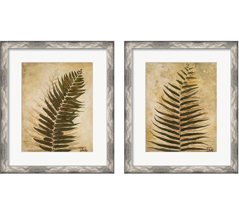 Ferns 2 Piece Framed Art Print Set by Patricia Pinto