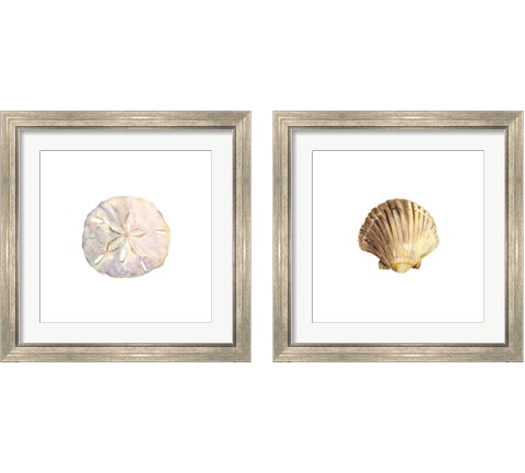 Oceanum Shells White 2 Piece Framed Art Print Set by Tara Reed