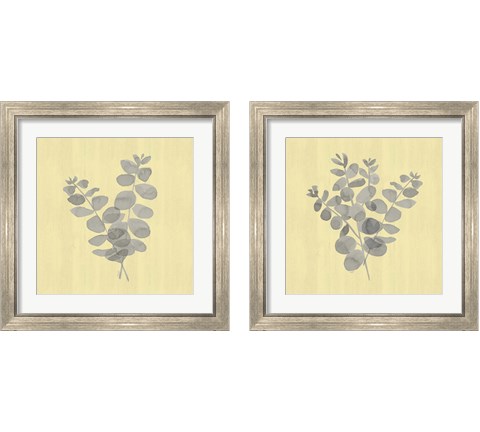 Natural Inspiration Eucalyptus Panel Gray & Yellow 2 Piece Framed Art Print Set by Tara Reed