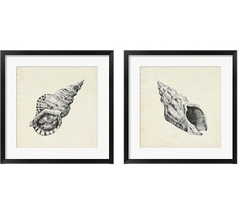 Seashell Pencil Sketch 2 Piece Framed Art Print Set by Emma Caroline