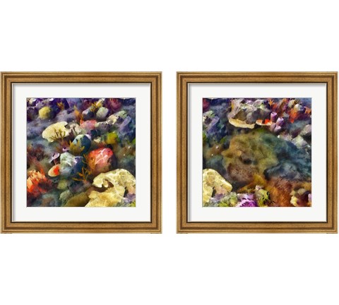 Sea Life 2 Piece Framed Art Print Set by Alonzo Saunders