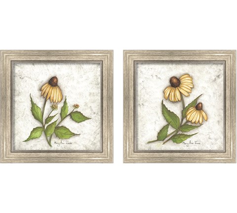 Bloomin' Coneflowers 2 Piece Framed Art Print Set by Mary Ann June