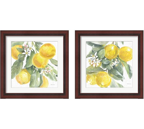 Citrus Charm Lemons 2 Piece Framed Art Print Set by Beth Grove