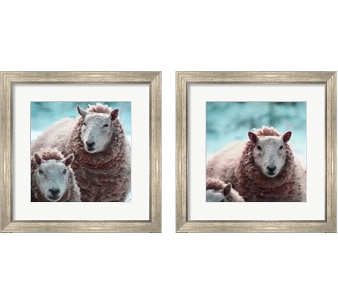 Sheep Square 2 Piece Framed Art Print Set by Andi Metz