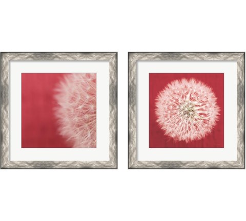 Dandelion on Red 2 Piece Framed Art Print Set by Aledanda