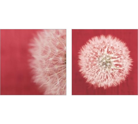 Dandelion on Red 2 Piece Art Print Set by Aledanda