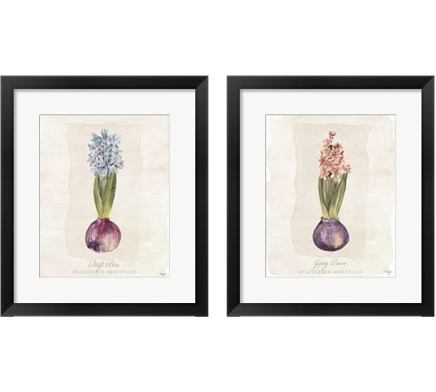Hyacinthus Orientalis 2 Piece Framed Art Print Set by Mollie B.