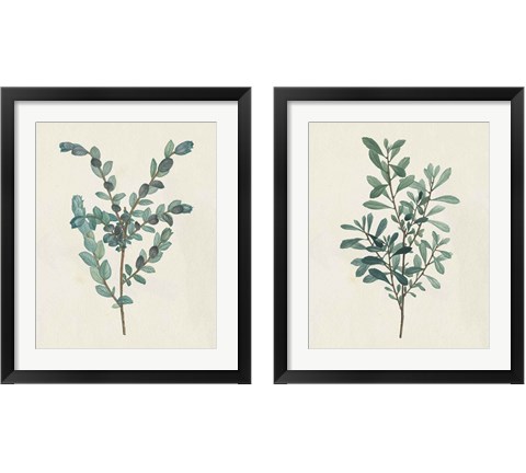 Victorian Garden Greenery 2 Piece Framed Art Print Set by Wild Apple Portfolio