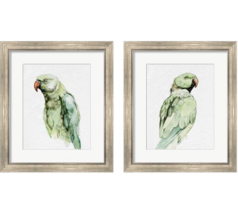 Bright Parrot Portrait 2 Piece Framed Art Print Set by Emma Caroline