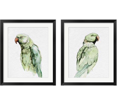 Bright Parrot Portrait 2 Piece Framed Art Print Set by Emma Caroline