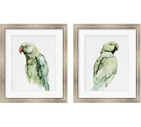 Bright Parrot Portrait 2 Piece Framed Art Print Set by Emma Caroline