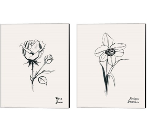 Annual Flowers 2 Piece Canvas Print Set by Grace Popp