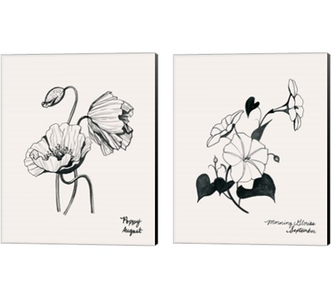 Annual Flowers 2 Piece Canvas Print Set by Grace Popp