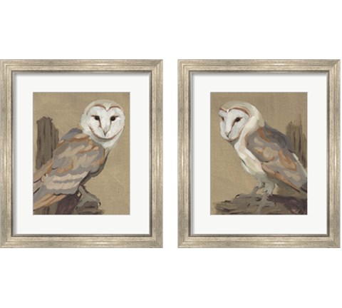 Common Barn Owl Portrait 2 Piece Framed Art Print Set by Jacob Green