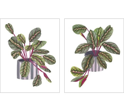 Prayer Plant 2 Piece Art Print Set by Melissa Wang