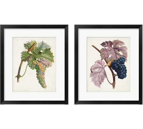 Vintage Fruit 2 Piece Framed Art Print Set by Pierre-Antoine Poiteau