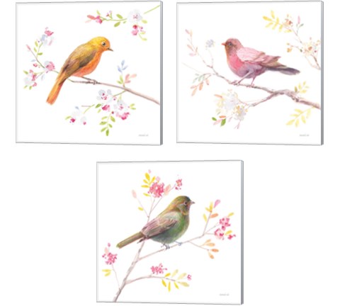 Flight Friends 3 Piece Canvas Print Set by Danhui Nai