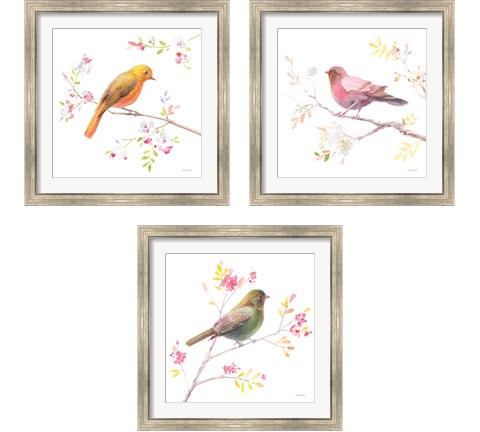 Flight Friends 3 Piece Framed Art Print Set by Danhui Nai