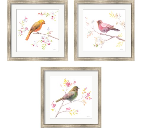 Flight Friends 3 Piece Framed Art Print Set by Danhui Nai