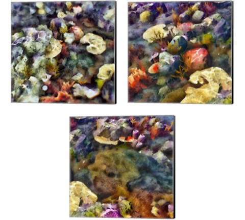 Sea Life 3 Piece Canvas Print Set by Alonzo Saunders