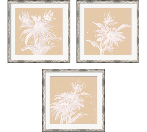 Echinacea  3 Piece Framed Art Print Set by Chris Paschke