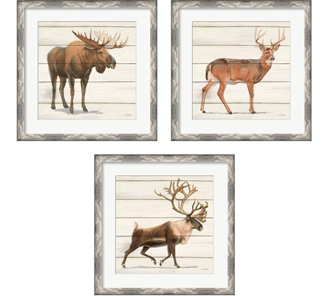 Northern Wild 3 Piece Framed Art Print Set by James Wiens