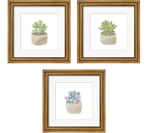 Simple Succulent 3 Piece Framed Art Print Set by Bannarot