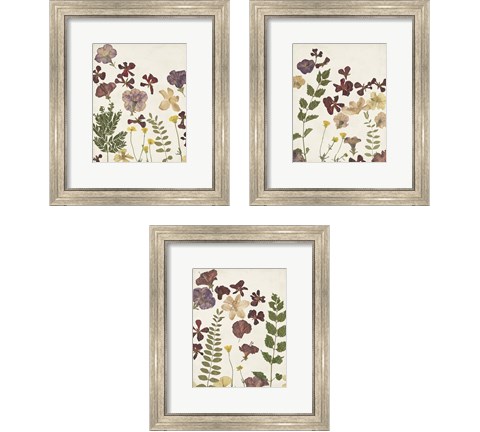 Pressed Flower Arrangement 3 Piece Framed Art Print Set by Regina Moore