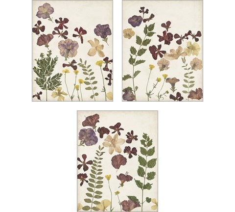 Pressed Flower Arrangement 3 Piece Art Print Set by Regina Moore