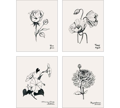 Annual Flowers 4 Piece Art Print Set by Grace Popp