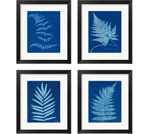 Cyanotype Ferns 4 Piece Framed Art Print Set