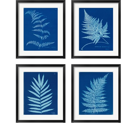 Cyanotype Ferns 4 Piece Framed Art Print Set