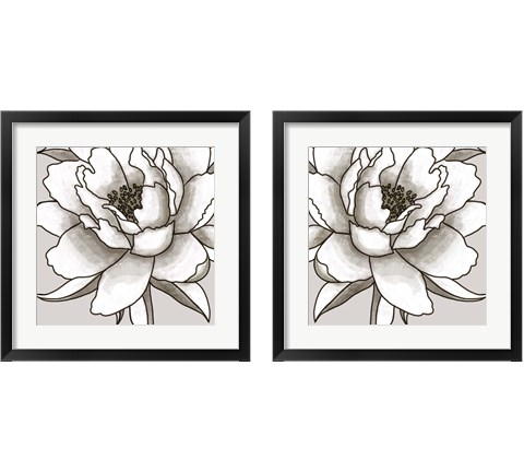 Shell  2 Piece Framed Art Print Set by Elizabeth Tyndall