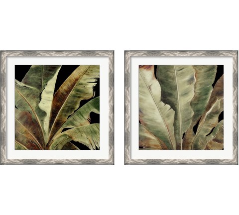 Uraba Palm on Black 2 Piece Framed Art Print Set by Patricia Pinto