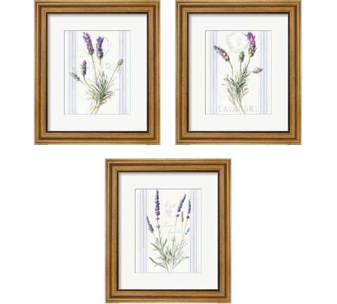 Floursack Lavender 3 Piece Framed Art Print Set by Danhui Nai