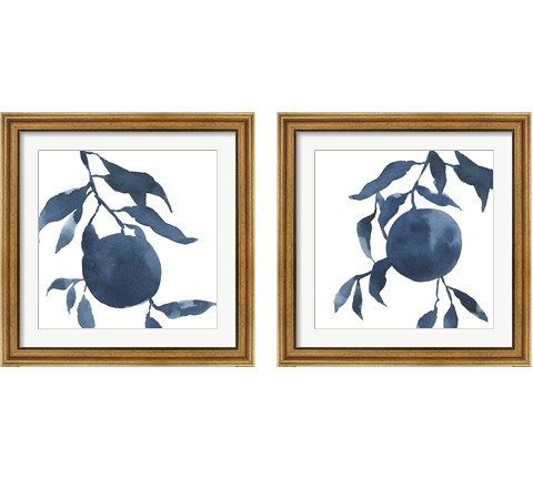 Indigo Oranges 2 Piece Framed Art Print Set by Emma Caroline