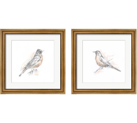 Robin Bird Sketch 2 Piece Framed Art Print Set by Ethan Harper