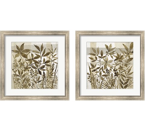 Neutral Garden 2 Piece Framed Art Print Set by Timothy O'Toole