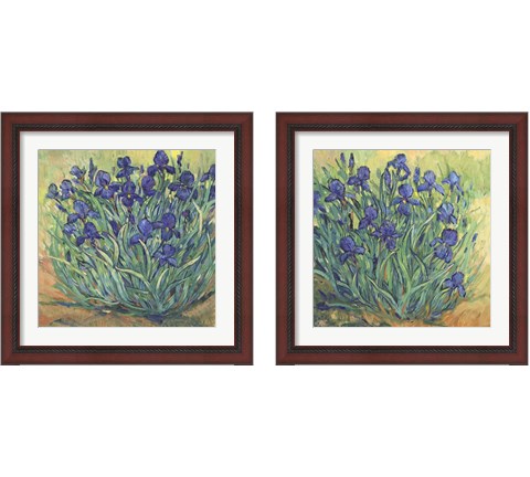 Irises in Bloom 2 Piece Framed Art Print Set by Timothy O'Toole