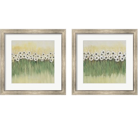 Rows of Flowers 2 Piece Framed Art Print Set by Timothy O'Toole