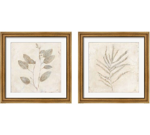 Plantlife  2 Piece Framed Art Print Set by Julia Purinton