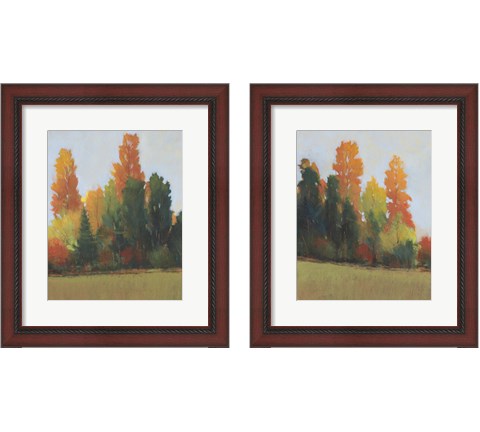 Fall Colors 2 Piece Framed Art Print Set by Timothy O'Toole