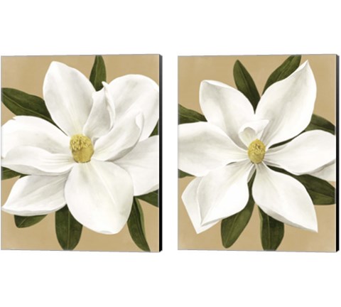 Magnolia on Gold 2 Piece Canvas Print Set by Grace Popp