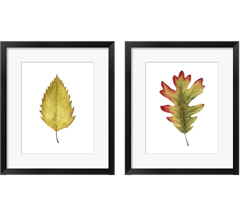 Fall Leaf Study 2 Piece Framed Art Print Set by Grace Popp