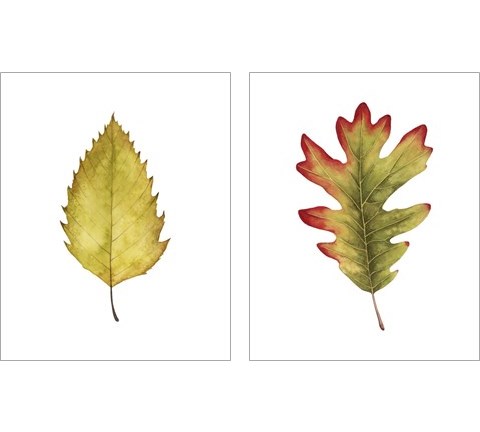 Fall Leaf Study 2 Piece Art Print Set by Grace Popp